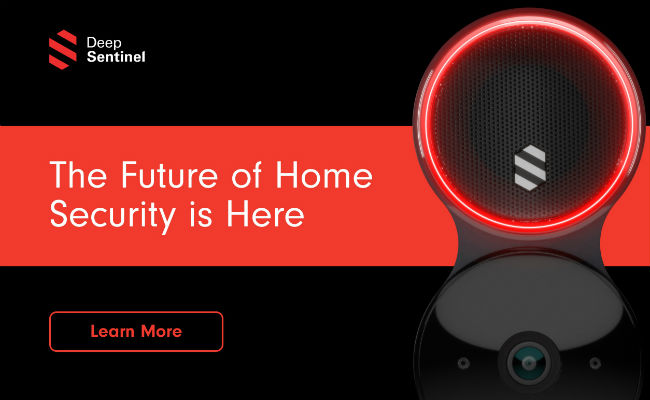 Deep Sentinel Home Security System